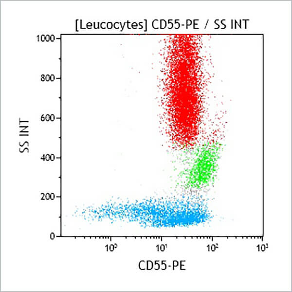 B49190_CD55-PE, JS11KSC2.3, 100 Tests, CE